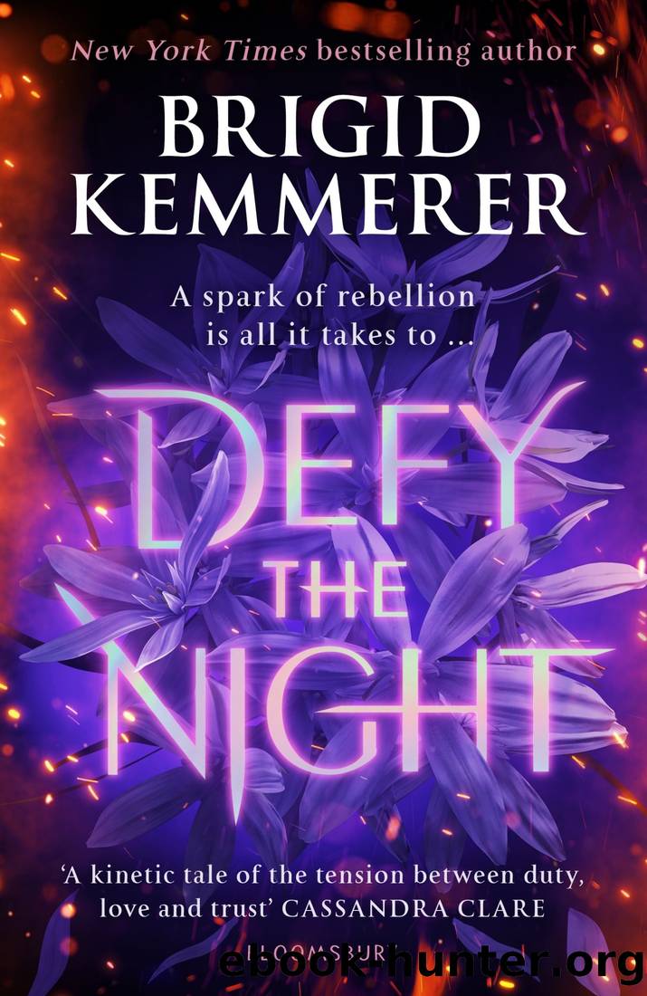 Defy the Night by Brigid Kemmerer