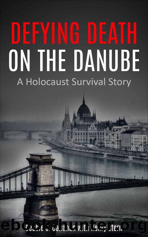 Defying Death on the Danube: A Holocaust Survival Story by Debbie J. Callahan & Henry Stern