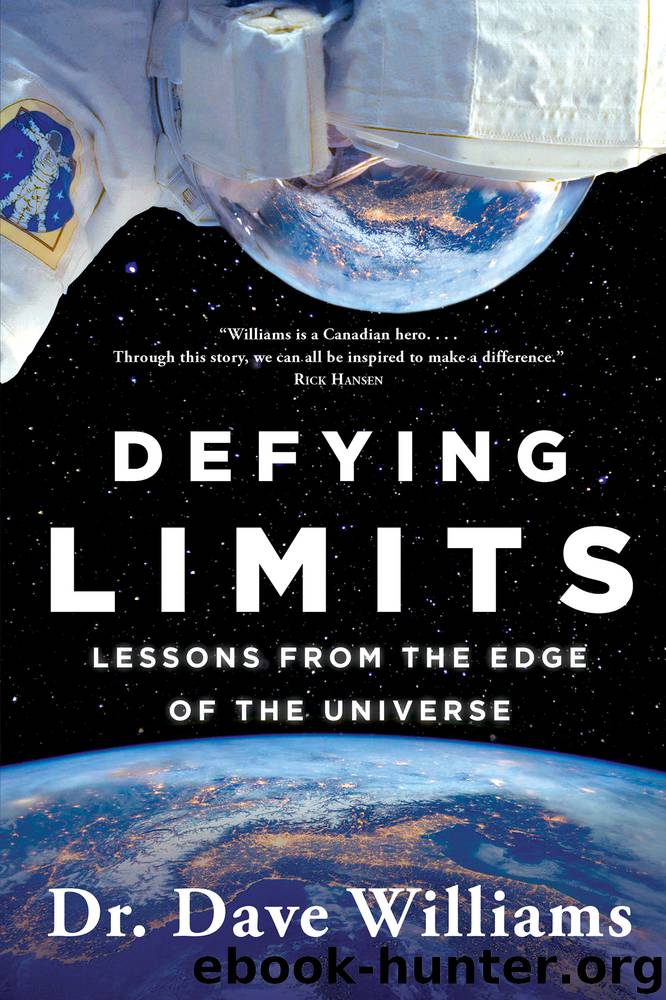 Defying Limits by Dave Williams