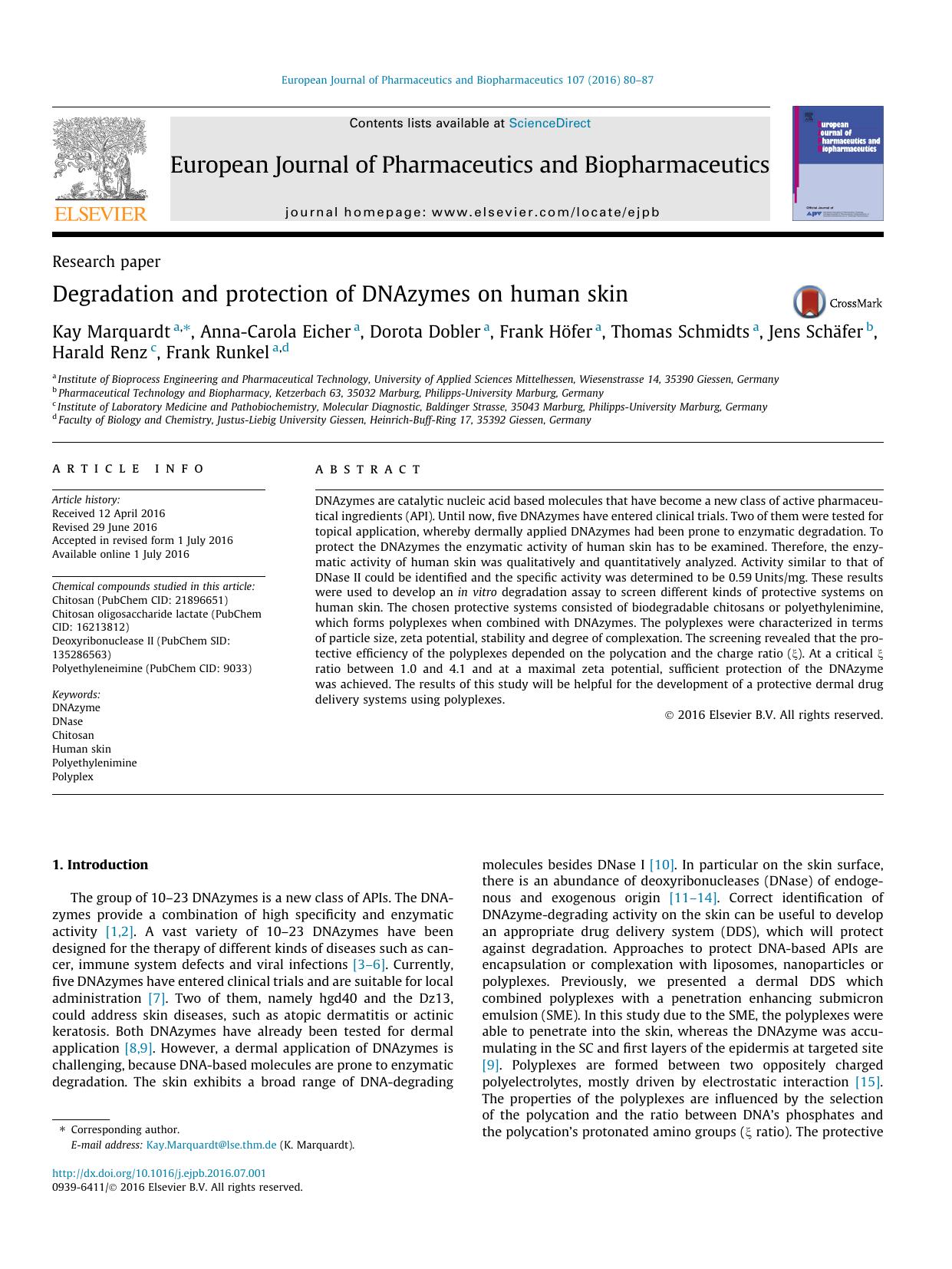 Degradation and protection of DNAzymes on human skin by unknow
