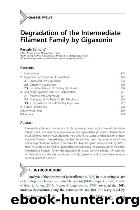 Degradation of the Intermediate Filament Family by Gigaxonin by Pascale Bomont