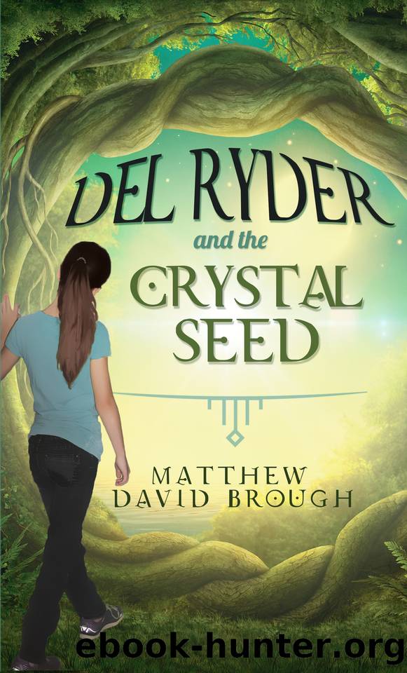 Del Ryder and the Crystal Seed by Brough Matthew David