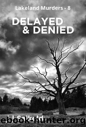 Delayed & Denied by J J Salkeld