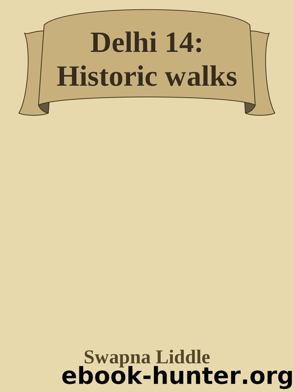 Delhi 14: Historic walks by Swapna Liddle