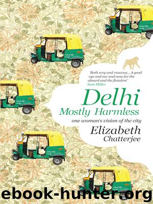 Delhi by Elizabeth Chatterjee