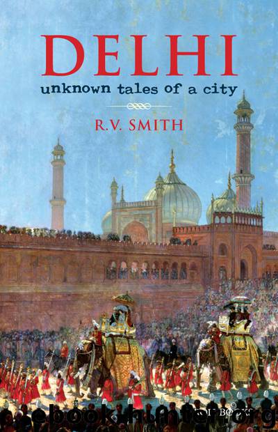 Delhi by R V Smith