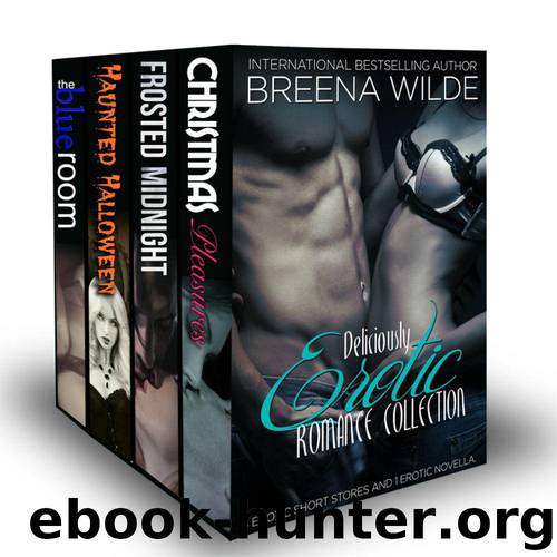 Deliciously Erotic Romance Collection (The Blue Room, Frosted Midnight, Haunted Halloween, Frosted Midnight) by Wilde Breena