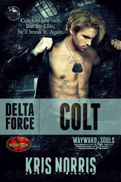 Delta Force: Colt: Brotherhood Protectors WorldWayward Souls Crossover ...