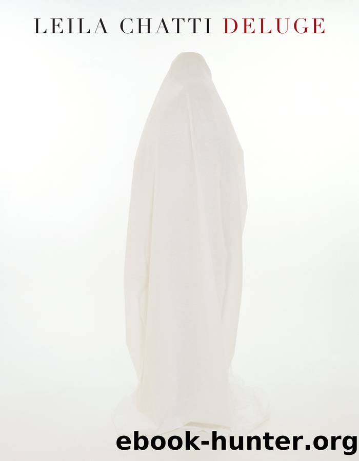 Deluge by Leila Chatti