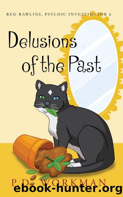 Delusions of the Past by P.D. Workman