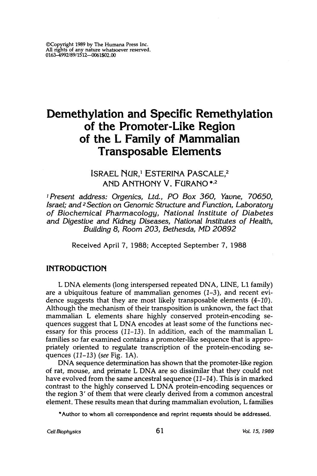 Demethylation and specific remethylation of the promoter-like region of the L family of mammalian transposable elements by Unknown