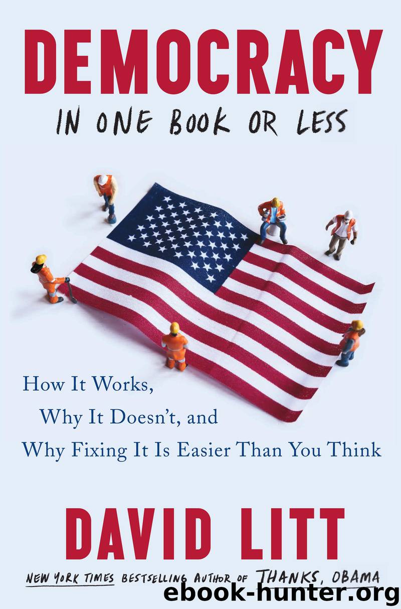 Democracy in One Book or Less by David Litt