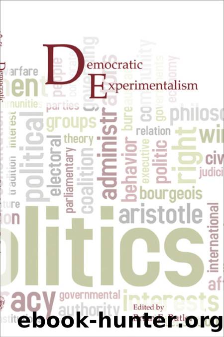 Democratic Experimentalism by Brian E. Butler