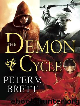 Demon Cycle Omnibus 2017 by Peter V. Brett