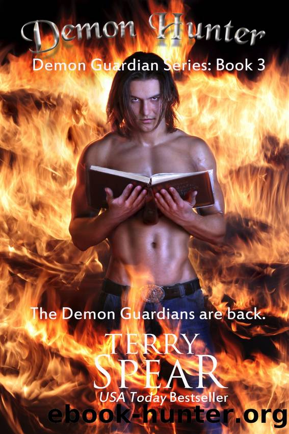 Demon Hunter by Terry Spear