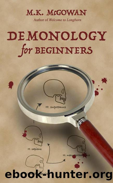 Demonology for Beginners by MK McGowan