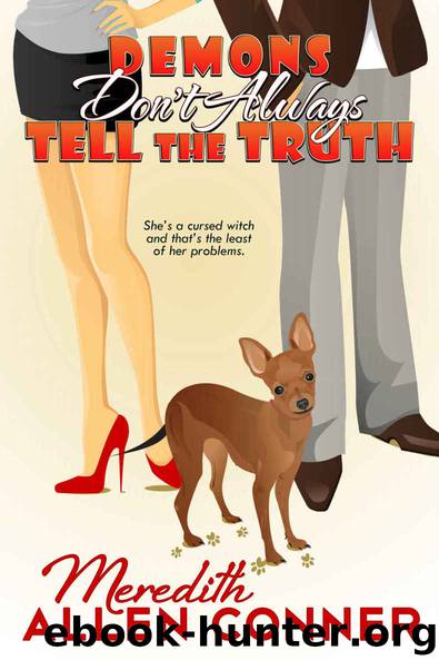 Demons Don't Always Tell The Truth (Kate Storm Series Book 3) by Meredith Allen Conner