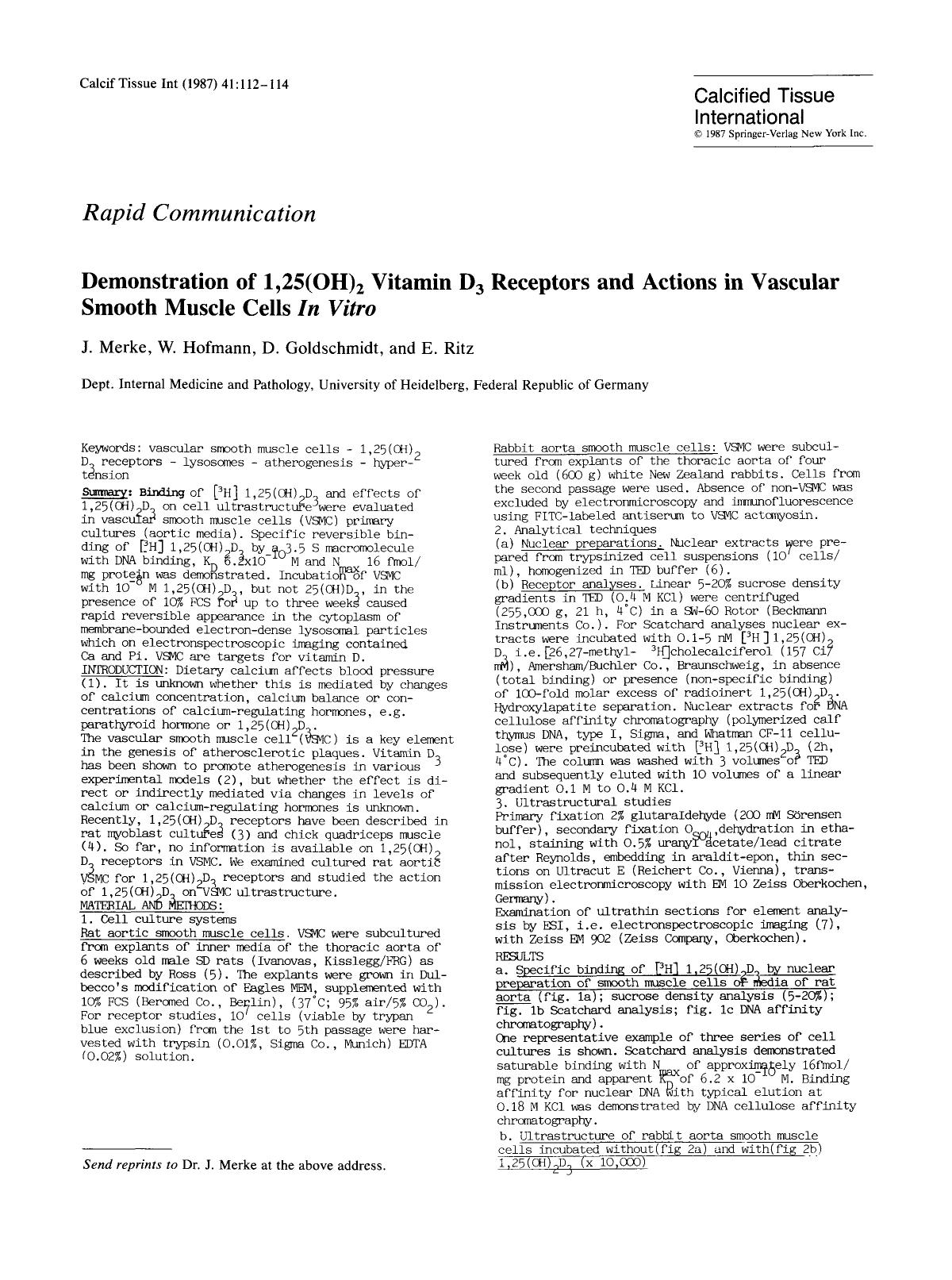 Demonstration of 1,25(OH) <Subscript>2 <Subscript> vitamin D <Subscript>3 <Subscript> receptors and actions in vascular smooth muscle cells <Emphasis Type="Italic">In vitro <Emphasis> by Unknown
