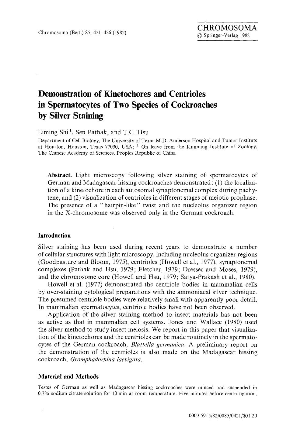 Demonstration of kinetochores and centrioles in spermatocytes of two species of cockroaches by silver staining by Unknown