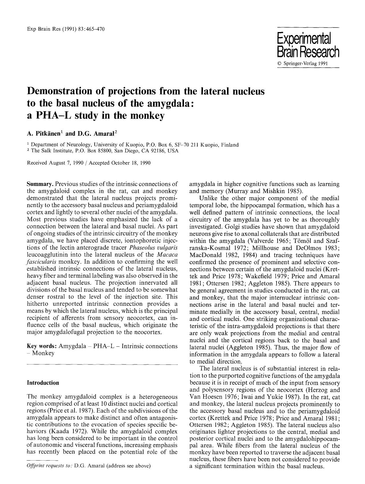 Demonstration of projections from the lateral nucleus to the basal nucleus of the amygdala: a PHA-L study in the monkey by Unknown