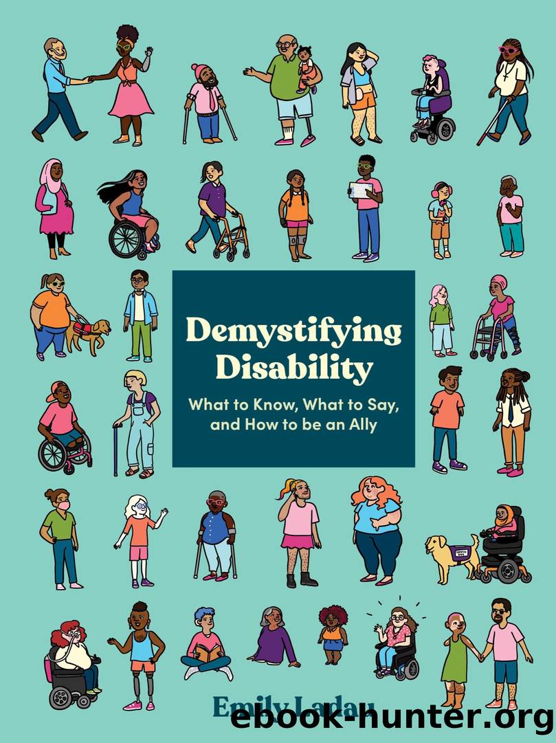 Demystifying Disability by Emily Ladau