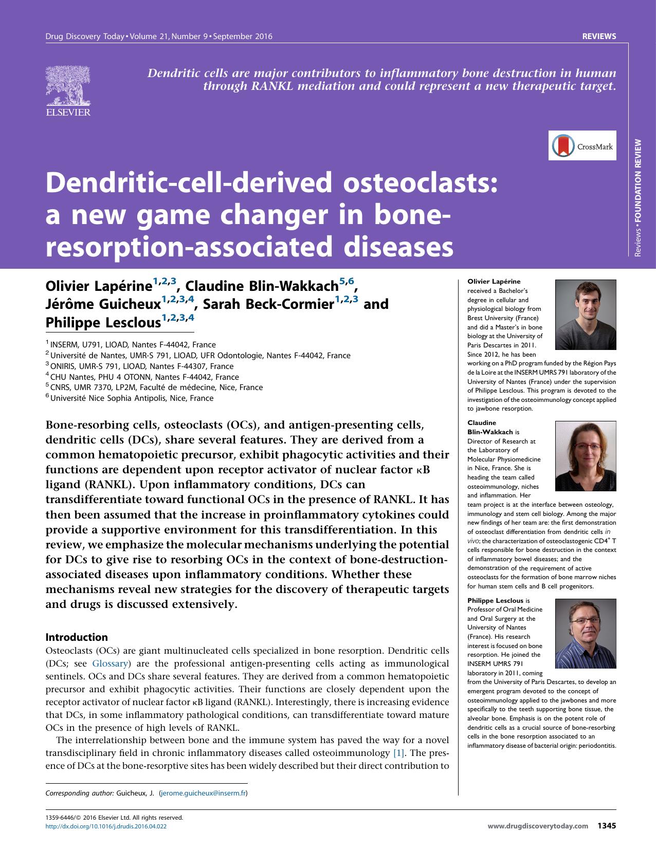 Dendritic-cell-derived osteoclasts: a new game changer in bone-resorption-associated diseases by unknow
