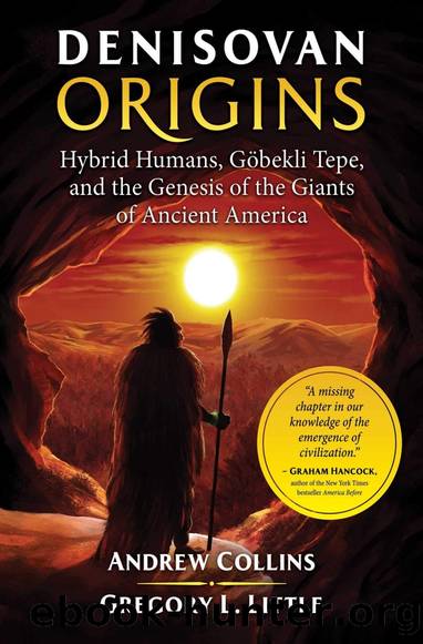 Denisovan Origins: Hybrid Humans, GÃ¶bekli Tepe, and the Genesis of the Giants of Ancient America by Andrew Collins