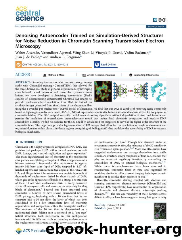 Denoising Autoencoder Trained on Simulation-Derived Structures for Noise Reduction in Chromatin Scanning Transmission Electron Microscopy by unknow