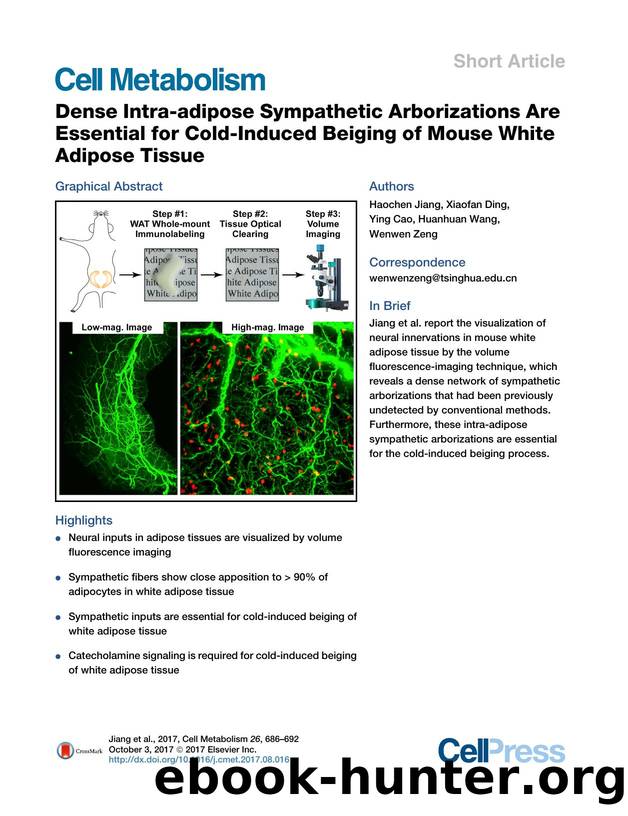 Dense Intra-adipose Sympathetic Arborizations Are Essential for Cold-Induced Beiging of Mouse White Adipose Tissue by Haochen Jiang & Xiaofan Ding & Ying Cao & Huanhuan Wang & Wenwen Zeng