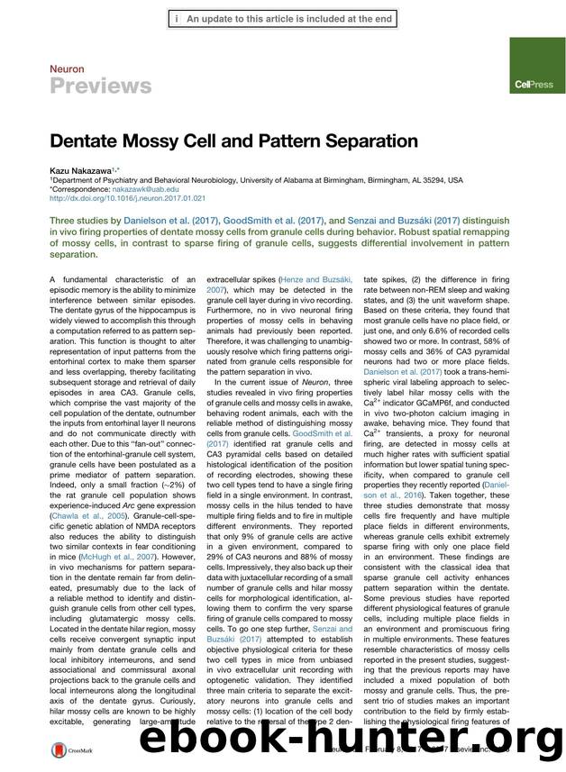 Dentate Mossy Cell and Pattern Separation by Kazu Nakazawa