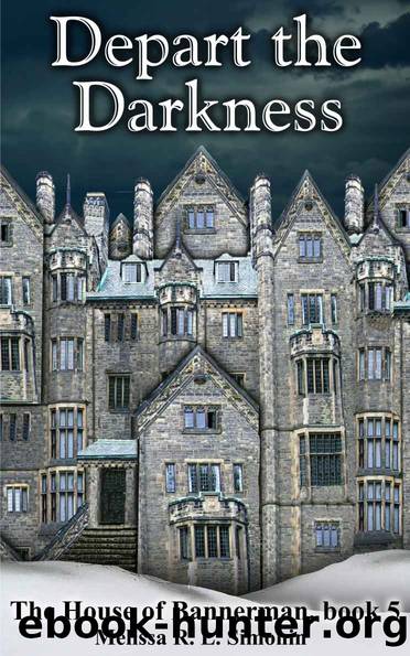 Depart the Darkness by Melissa R L Simonin