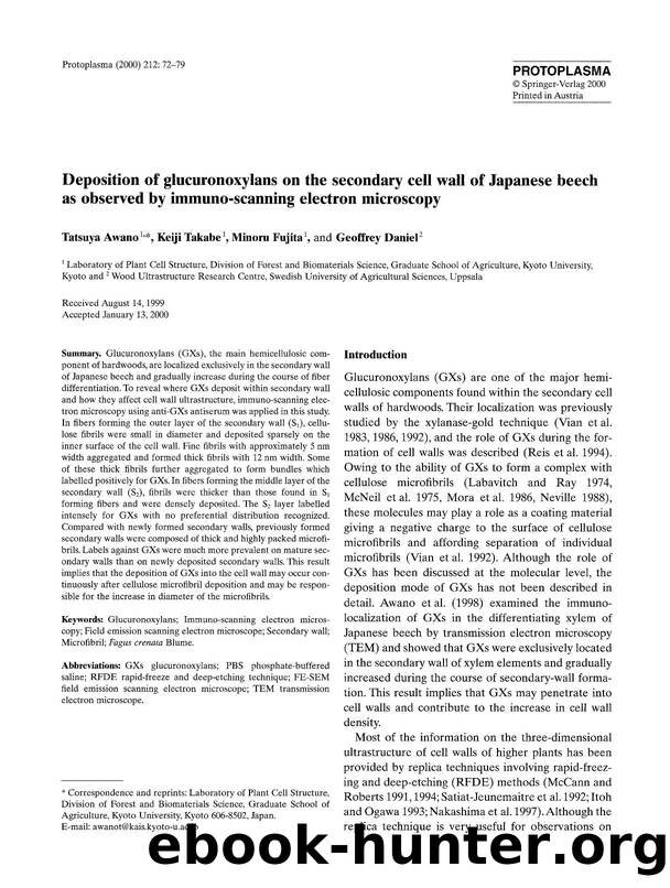 Deposition of glucuronoxylans on the secondary cell wall of Japanese beech as observed by immuno-scanning electron microscopy by Unknown