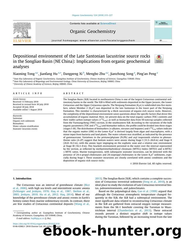 Depositional environment of the Late Santonian lacustrine source rocks in the Songliao Basin (NE China): Implications from organic geochemical analyses by Xiaoning Tong