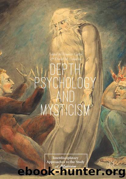 Depth Psychology and Mysticism by Thomas Cattoi & David M. Odorisio
