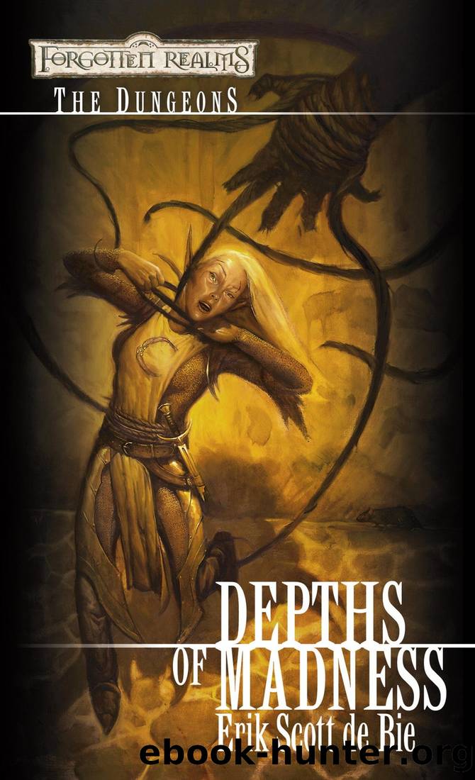 Depths of Madness by Erik Scott de Bie
