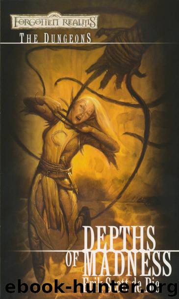 Depths of Madness: The Dungeons by Erik Scott De Bie