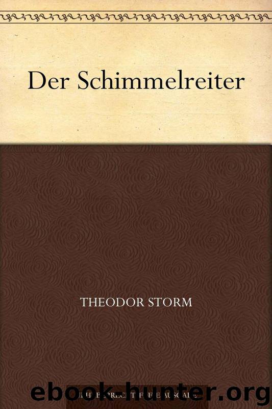 Der Schimmelreiter by Theodor Storm