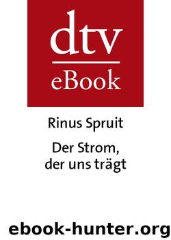 Der Strom, der uns traegt by Rinus Spruit