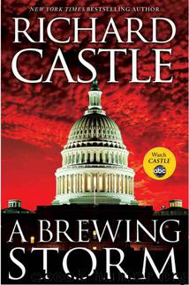 Derrick.Storm.01.A.Brewing.Storm.2012 by Castle Richard