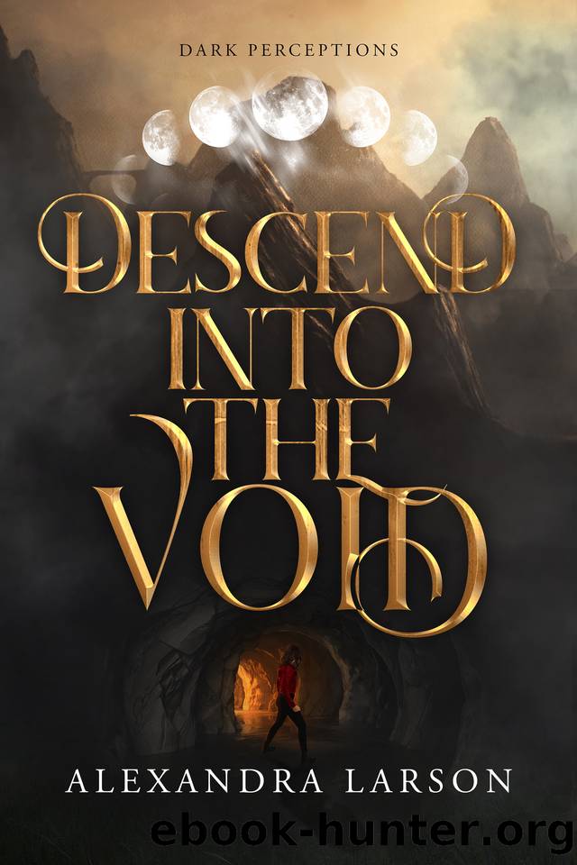 Descend into the Void (Dark Perceptions Book 2) by Larson Alexandra