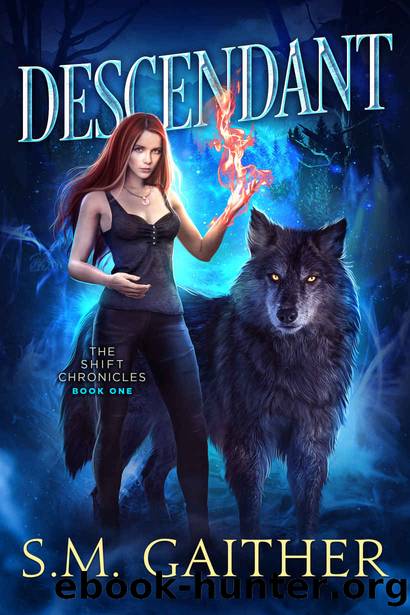 Descendant by S M Gaither