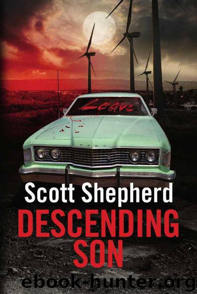 Descending Son by Scott Shepherd