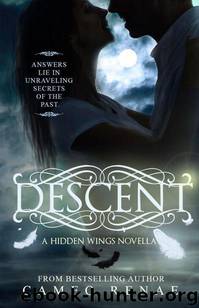 Descent (A Hidden Wings Novella: Prequel) by Renae Cameo