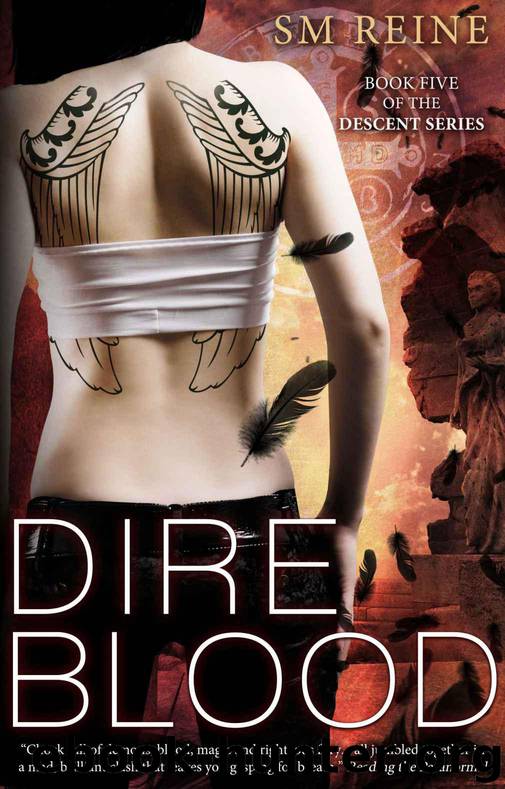 Descent 05 - Dire Blood by SM Reine