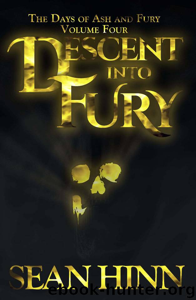 Descent Into Fury by Sean Hinn