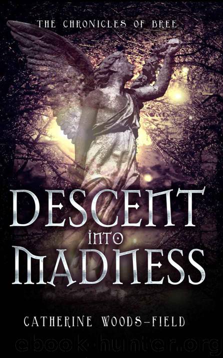 Descent Into Madness by Catherine Woods-Field