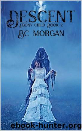 Descent by B C Morgan