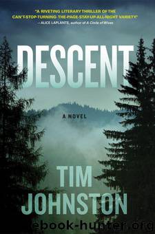 Descent: A Novel by Tim Johnston