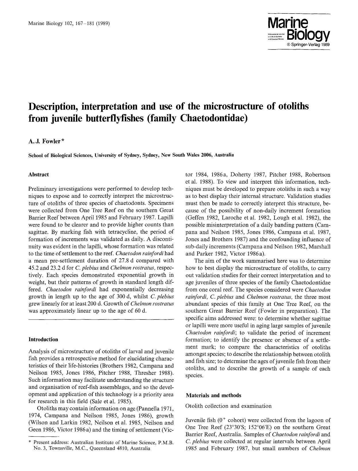 Description, interpretation and use of the microstructure of otoliths from juvenile butterflyfishes (family Chaetodontidae) by Unknown