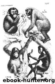 Desde Darwin(c.2)(c.2) by Stephen Jay Gould
